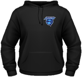 Delta Christian Dolphins Hoodie
